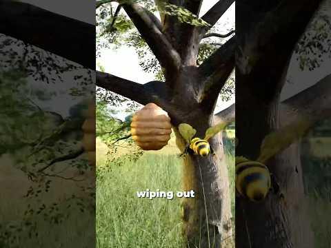 A Bee Was Sentenced To Death 😨
