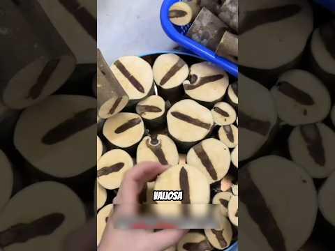 Esta madera vale más que el ORO 🤯 #shortvideo #viralvideo #viralshorts #shorts #ytshorts #new