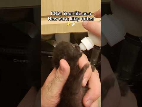 This is a big accomplishment for mini meow😦seeing for the first time!!!! #pov #newbornkittens