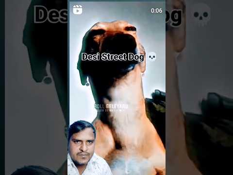 Mind-Blowing Gadgets and ToolsRevealed! 🚀 #shorts #gadgets245