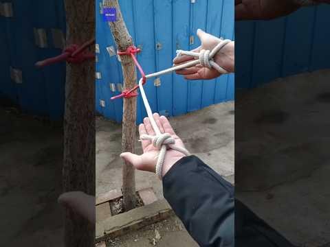 Cara Mudah Melepaskan Tali Culik🔥