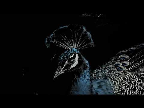 Lege-Cy - El Neyya | ليجي-سي - النيه (Official Audio)