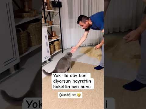 Sizce Ponçik ne diyor ? 🥰