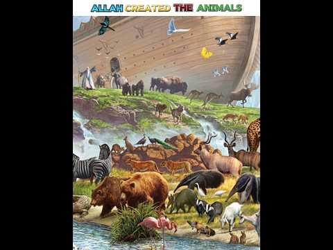 Allah created the animals #trending #viral #viralvideo #viraltranding #shortsvideo #trendingshorts