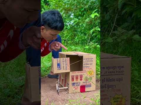 The Trap Easy #pigeon