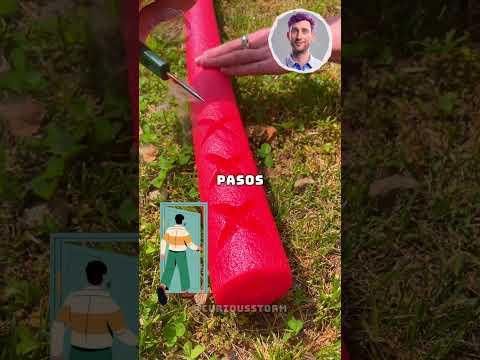 🚨 A Sorpresa Detrás de la Cortina! 😱📝 #shorts #historiasgraciosas #risasgarantizadas