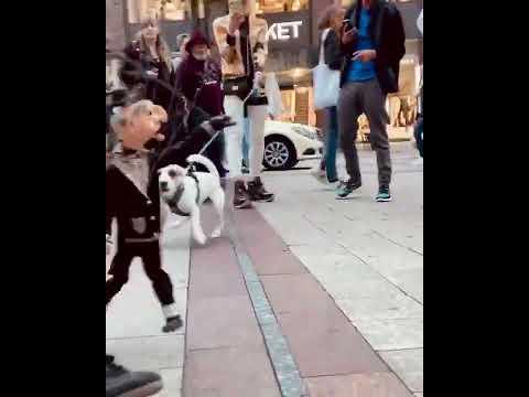 IMPROVISANDO CON UN PERRO Mario Ezno