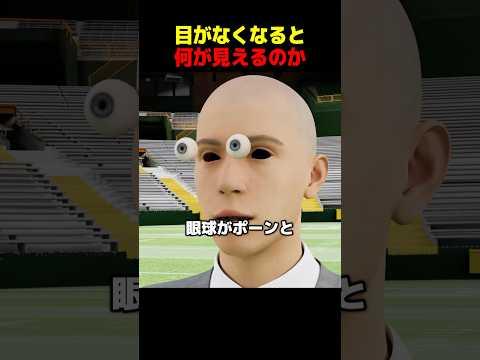 目が見えなくなるとどうなるのか？