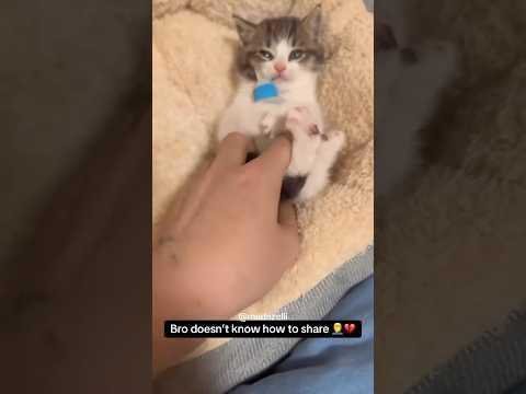 I Raised Him Wrong 😒