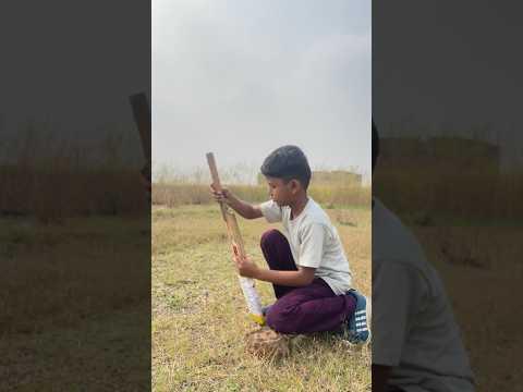 Bat ने कही Dil की Baat🥺💔Bat | Ball 🏏 #trending #ytshorts #shorts #cricketlover #cricket #batball