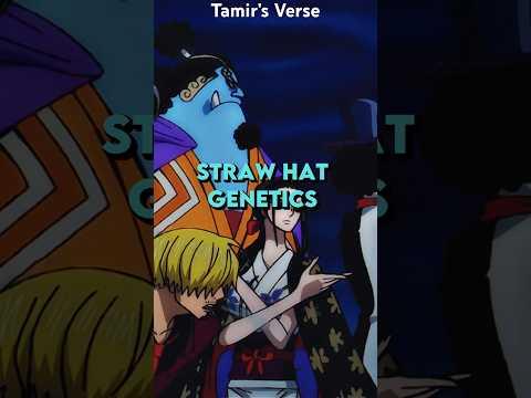 The Straw Hats Insane GENETICS Is Mind Boggling #anime #onepiece #luffy #shorts