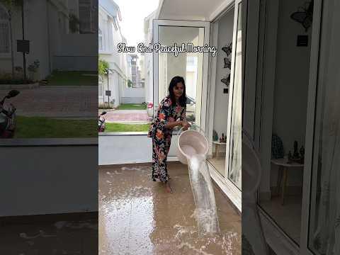 Mini Vlog 133 | Slow And Peaceful Morning #sowbaraniyaramesh #minivlog #slowliving