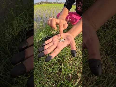 Mehendi flower 🌸#youtubeshorts #shorts #trending #mehendi #mehndidesign #flowers #viralhacks #1m