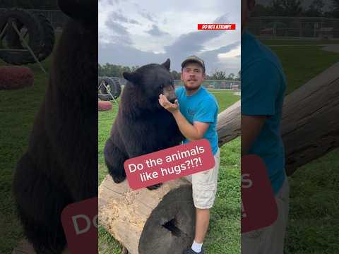 Which of the animals like hugs? #animalsofyoutube #animals #awesomeanimals