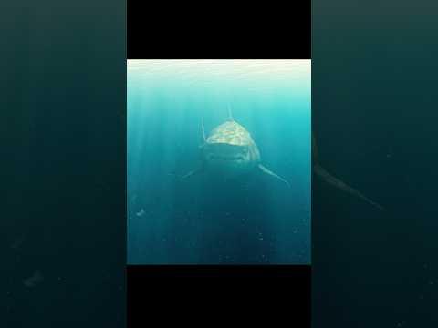 Underwater rescue.#shorts #themeg #movie #fantasy #viralvideo