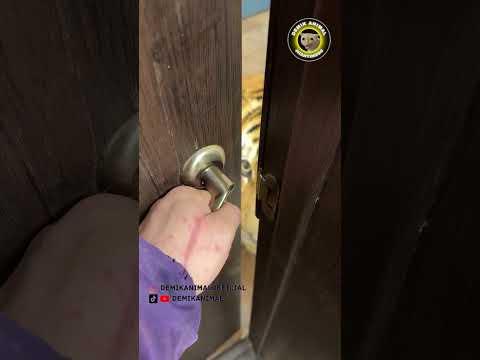 MACAN ASSALAMUALAIKUM #shorts