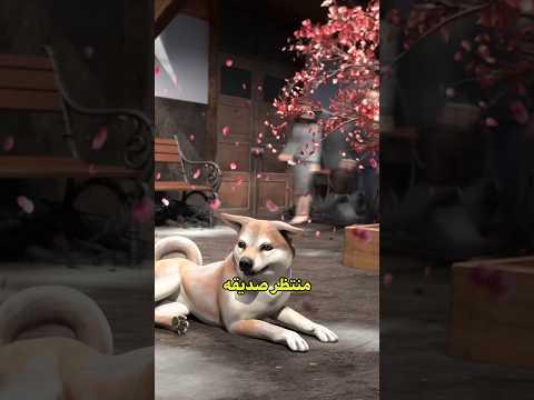 بقى منتظر صديقوا إلي مات فنفس المكان لمدة 10 سنوات 😢 #shortvideo