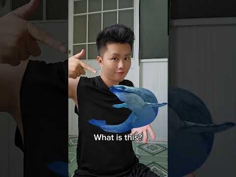 What is this? (P222)