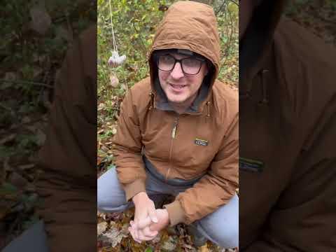 Andre the Rabbit Caught a Giant Predator in my Trap! #coyotes #foxes #bobcats #trailcam #predators