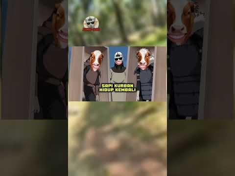 inilah 3 kejadian unik pada saat idul adha