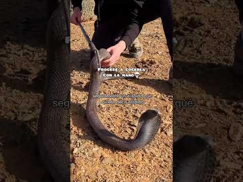 ๐La PEOR COBRA QUE Me He LLEVADO๐๐