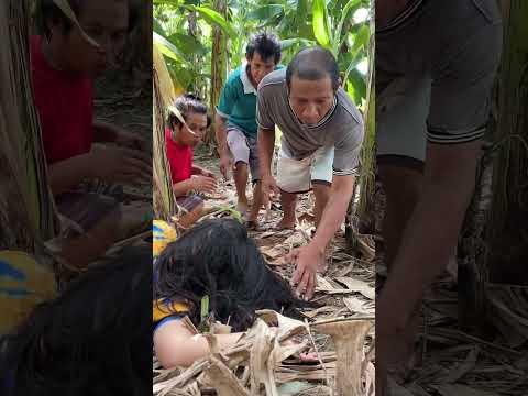 Sleeping only. Abacca vlog | just for fun #funny #justforlaught #newvlog