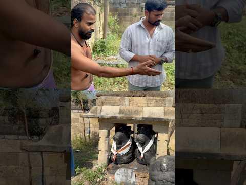😱😳🙏🙇♂️வளரும் நந்தி குருக்கள் சொல்லும் உண்மை full video link கீழே #பெரம்பலூர் #குன்னம் #நண்ணை