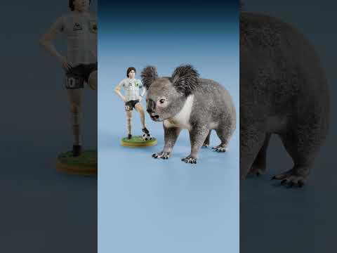 Axolotl Cuteness vs Dolphin Cuteness